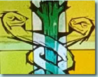 Caduceus